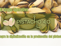 El Grupo Operativo PISTACHO 4.0 integra la digitalización en la producción del pistacho 